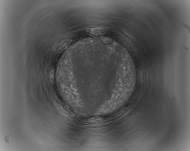 X0000102340271200808221638