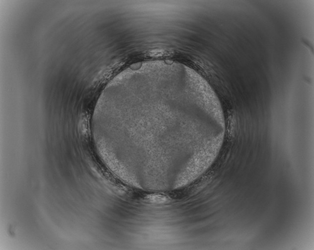 X0000102340272200808221638