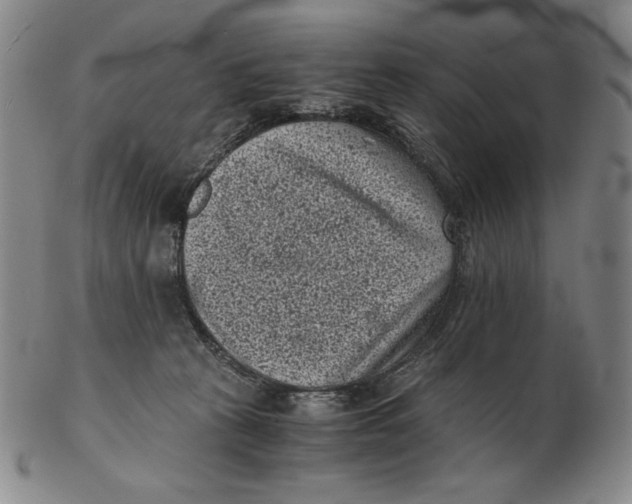 X0000102340273200808221638