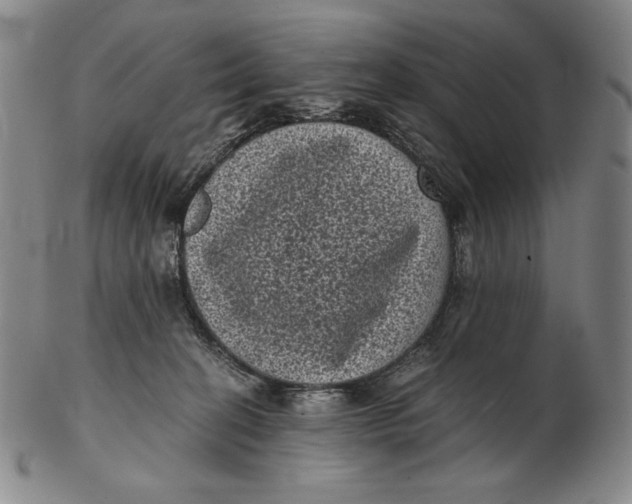 X0000102340274200808221638