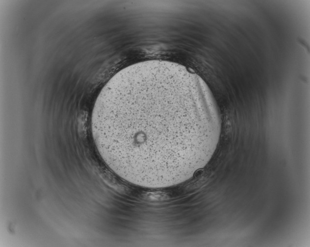 X0000102340275200808221638