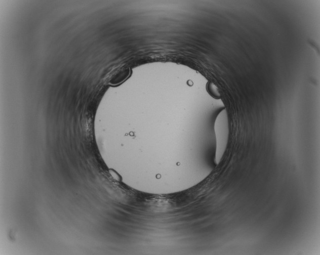 X0000102340276200808221638