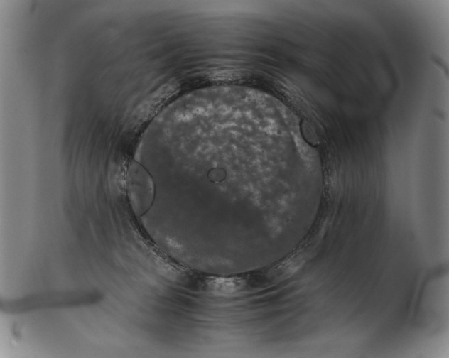 X0000102340277200808221638