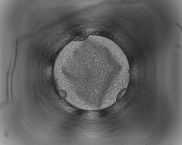 X0000102340278200808221638