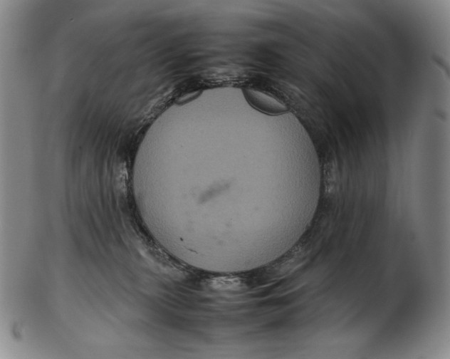 X0000102340279200808221638