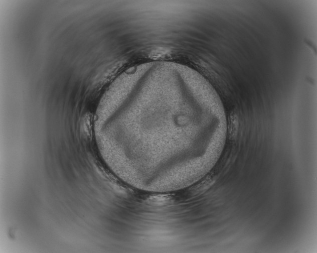 X0000102340280200808221638