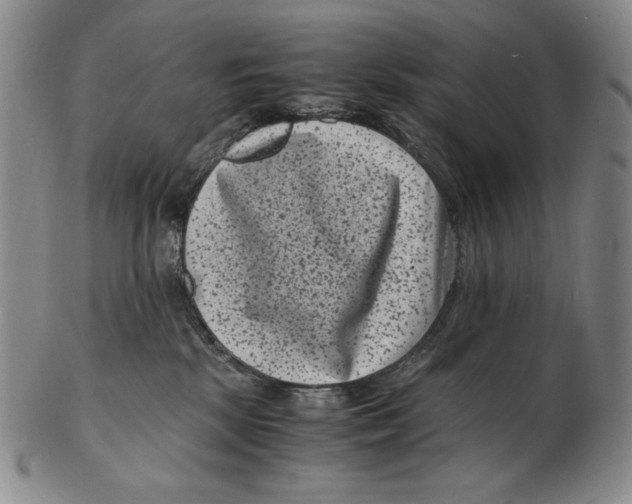 X0000102340281200808221638