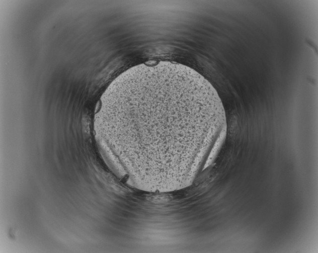 X0000102340282200808221638