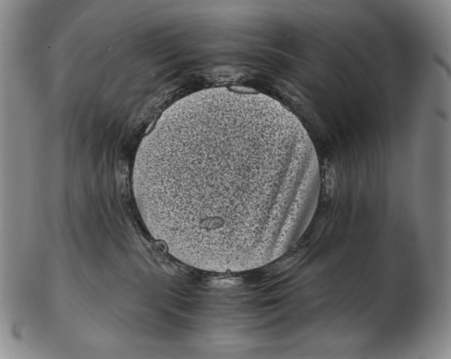 X0000102340283200808221638