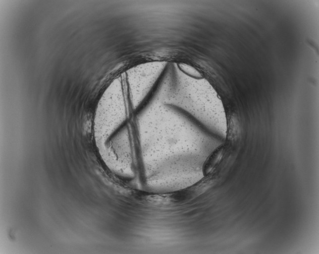 X0000102340284200808221638