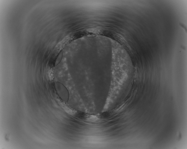 X0000102340285200808221638