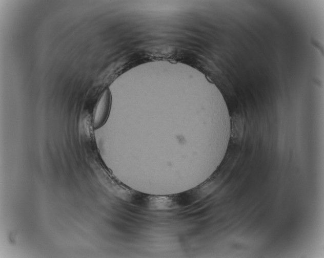 X0000102340287200808221638