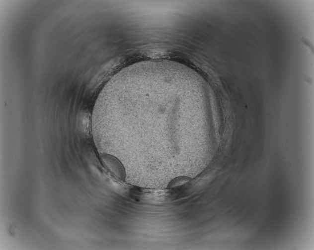 X0000102340288200808221638