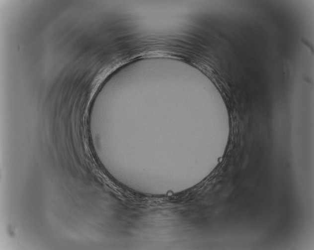 X0000102340289200808221637