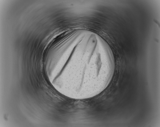 X0000102340290200808221637