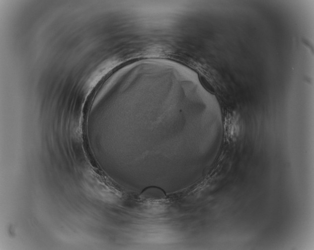 X0000102340292200808221637