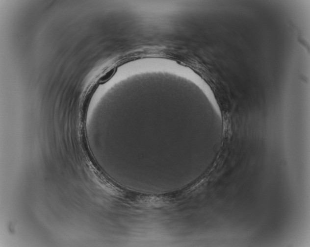 X0000102340293200808221637