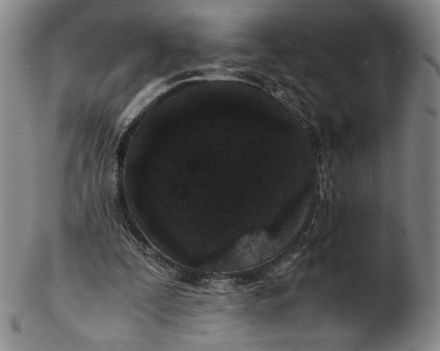 X0000102340295200808221637