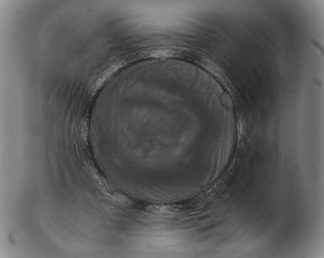 X0000102340297200808221637