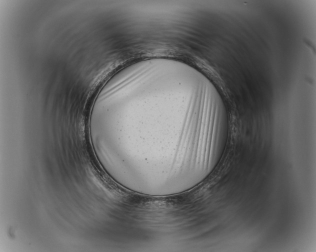 X0000102340298200808221637