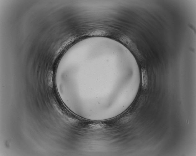 X0000102340300200808221637