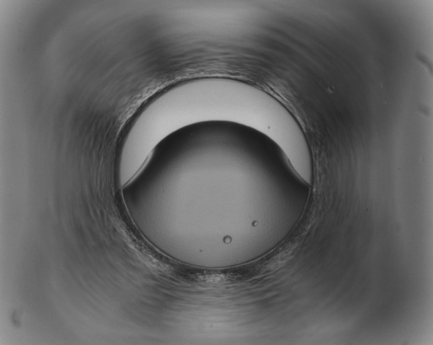 X0000102340301200808221637