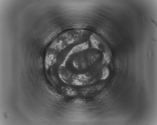 X0000102340303200808221637