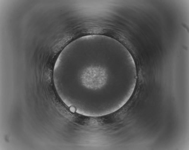 X0000102340305200808221637