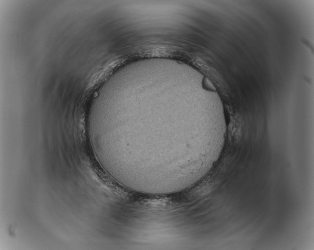 X0000102340306200808221637