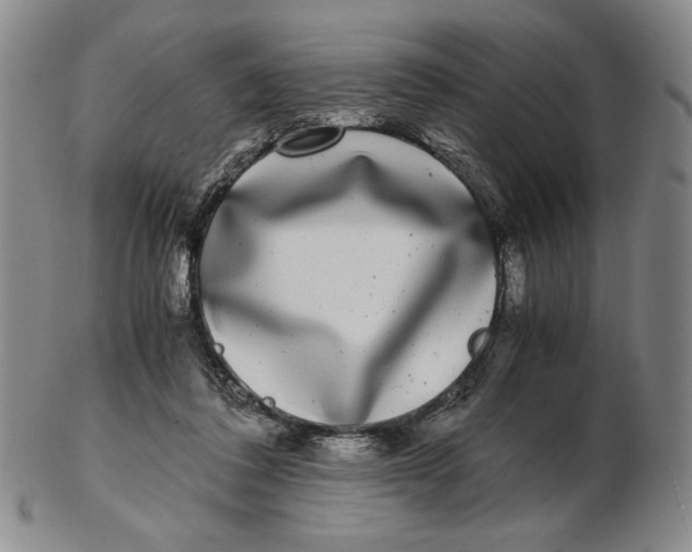 X0000102340308200808221637