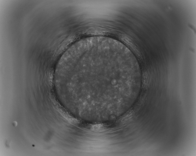 X0000102340309200808221637