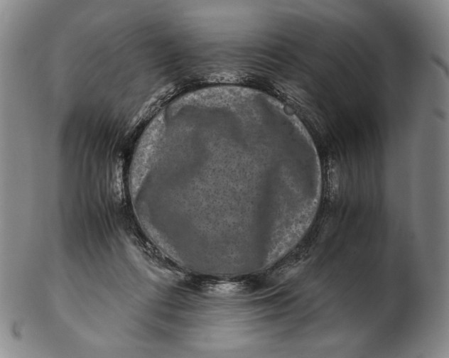 X0000102340312200808221637