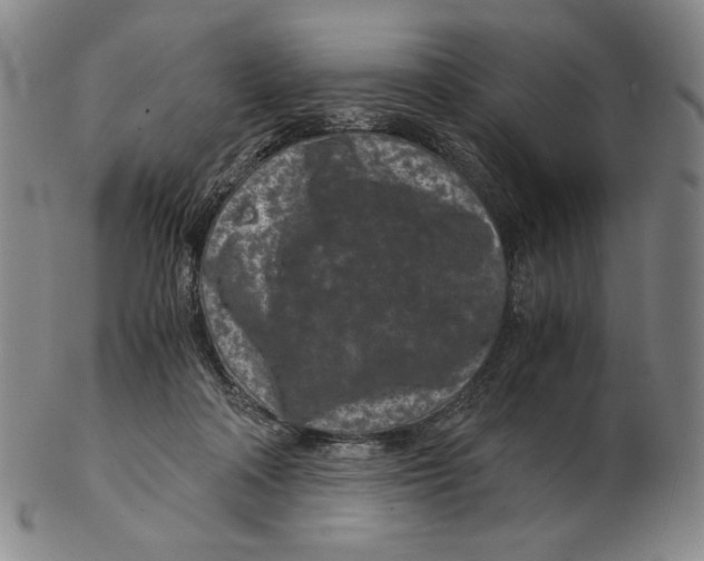 X0000102340314200808221637