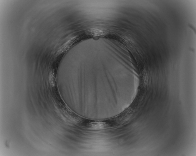 X0000102340316200808221637