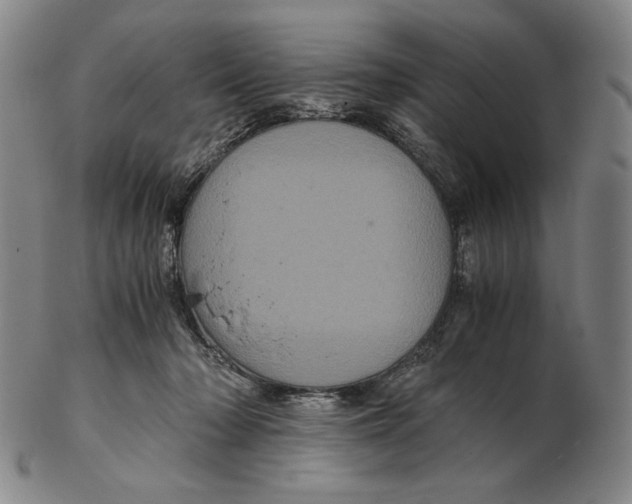 X0000102340318200808221637