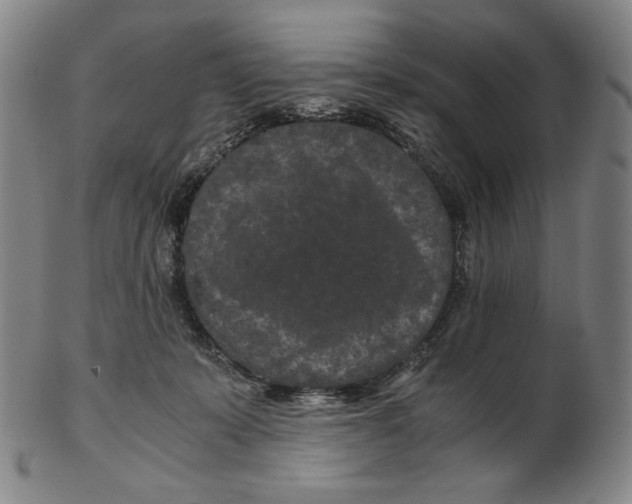 X0000102340319200808221637