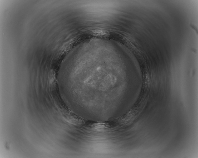 X0000102340320200808221637