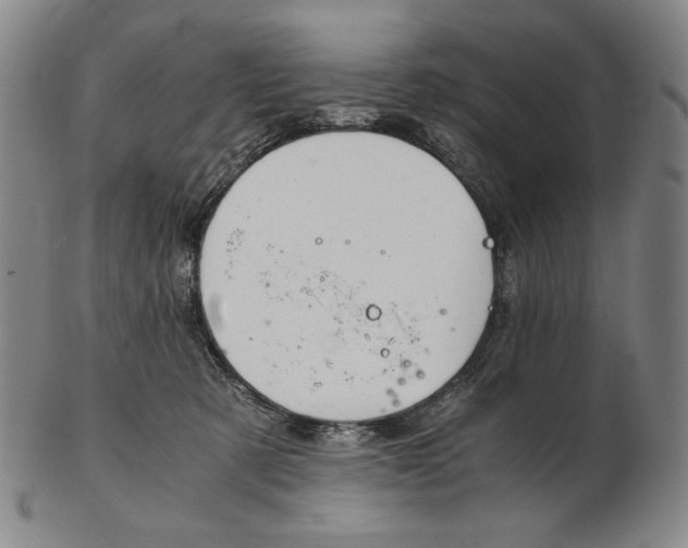 X0000102340321200808221637