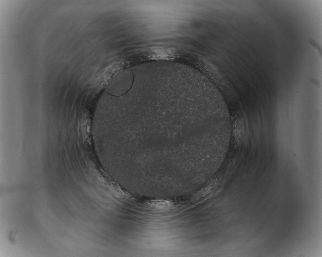 X0000102340322200808221637