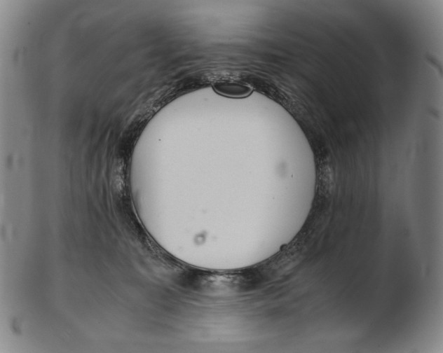 X0000102340323200808221637