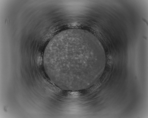 X0000102340324200808221637