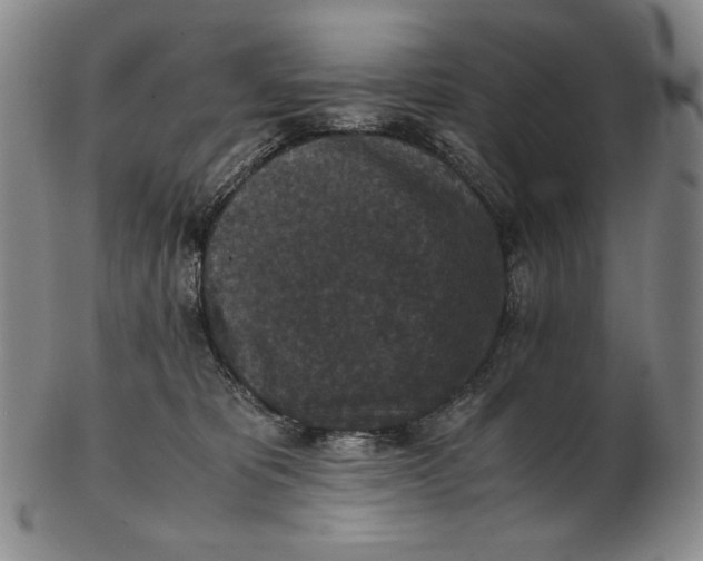 X0000102340325200808221637