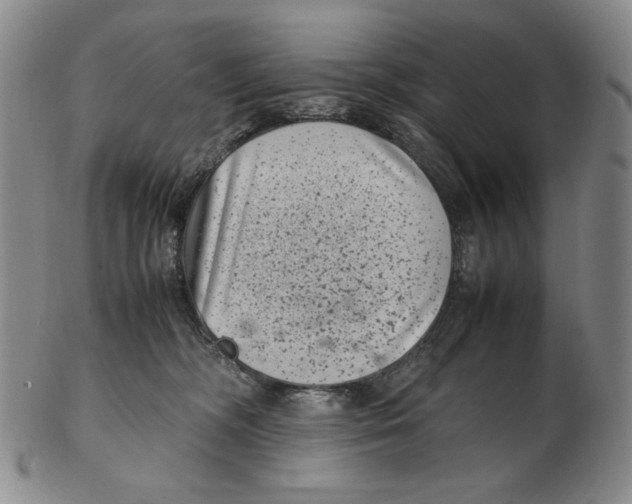 X0000102340326200808221636