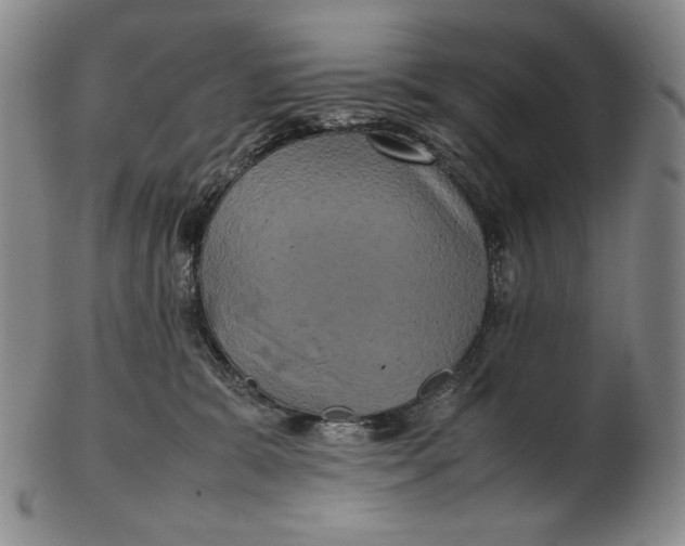 X0000102340327200808221636