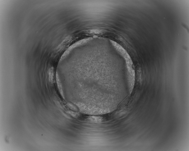 X0000102340328200808221636