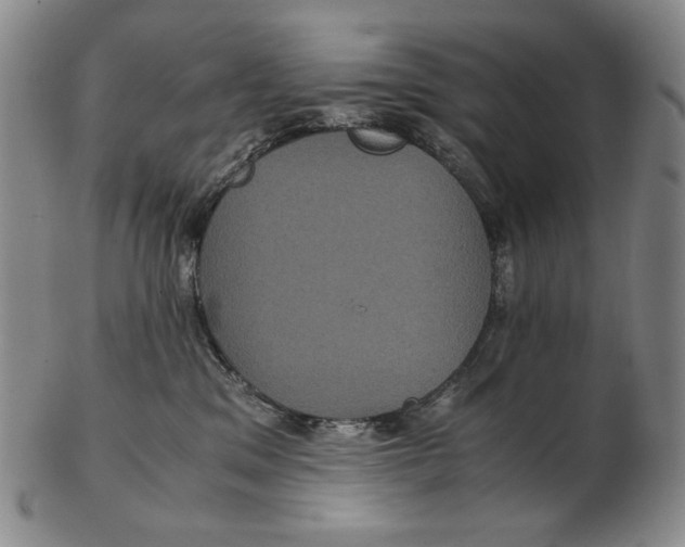 X0000102340329200808221636