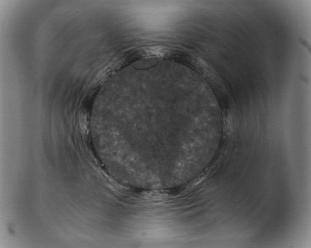 X0000102340331200808221636