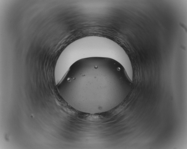 X0000102340332200808221636