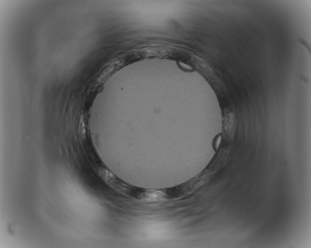 X0000102340333200808221636