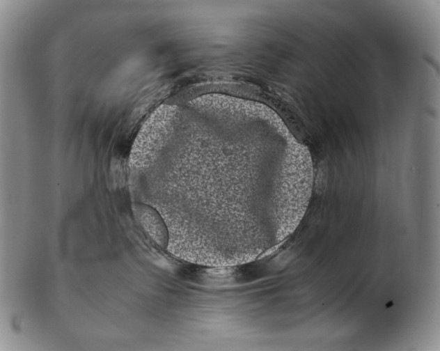 X0000102340335200808221636